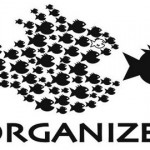 organize1