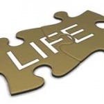 Life Puzzle