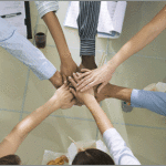 The Job of An Organizational Professional