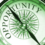 Is Your Career Blooming?